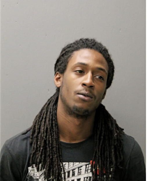 LAJUAN S JAMES, Cook County, Illinois