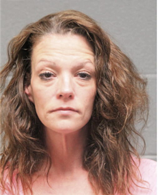 LISA GAYE KING, Cook County, Illinois