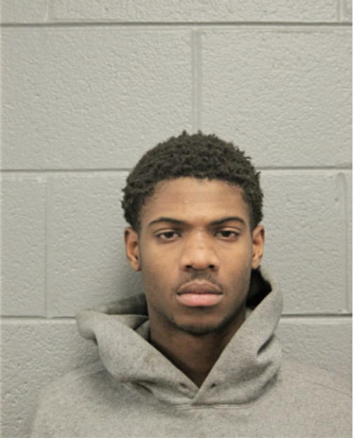 RAY C LEE, Cook County, Illinois