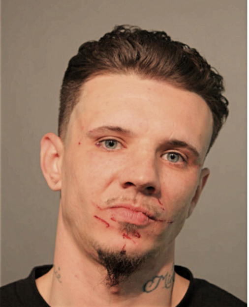 ANDREW J MESNARD, Cook County, Illinois