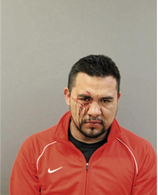 JULIO C PADILLA, Cook County, Illinois