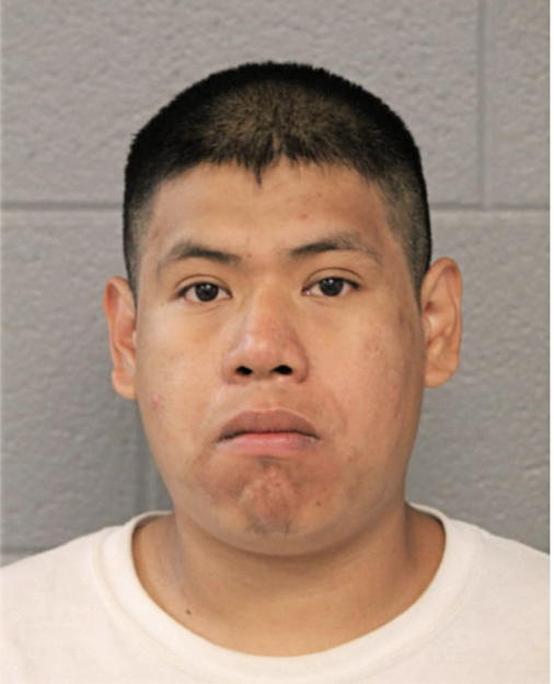 FELICIANO PUCHETA, Cook County, Illinois