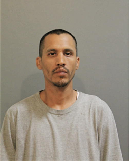 MICHAEL P QUIROZ, Cook County, Illinois