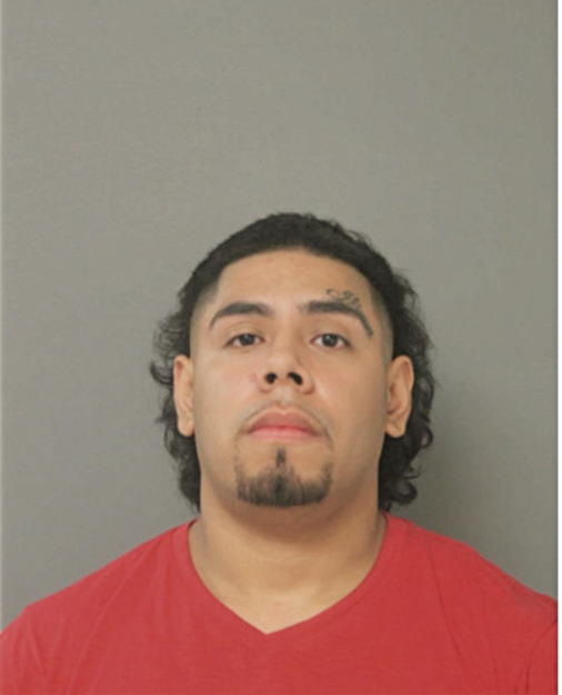 OSCAR TORRES, Cook County, Illinois