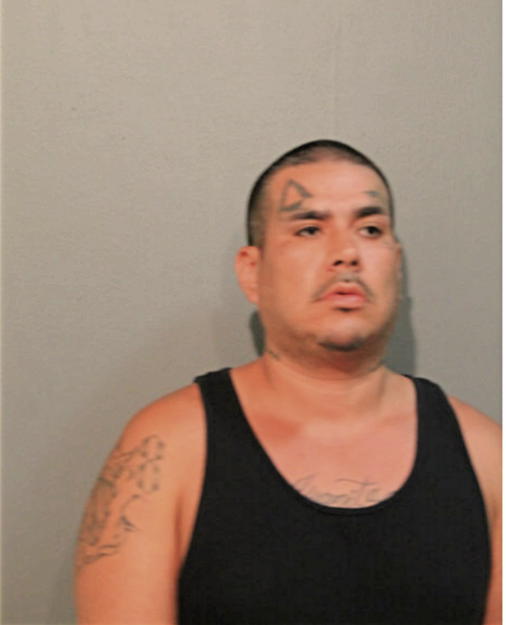 ROY VEGA, Cook County, Illinois