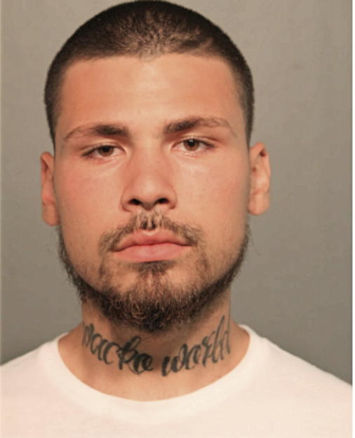 JUSTIN J VENTURA, Cook County, Illinois