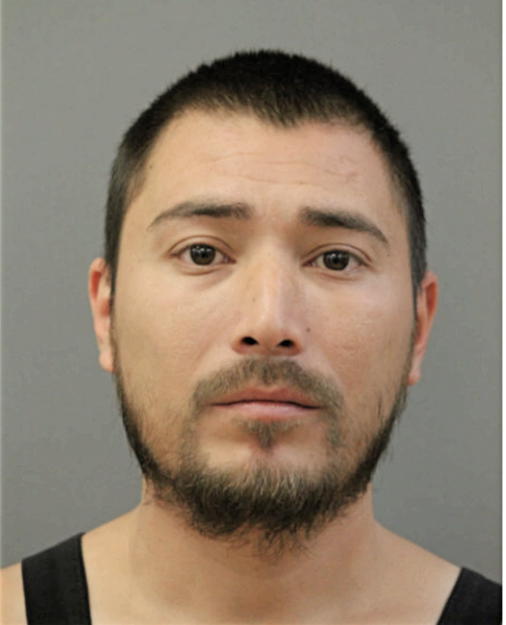 CHRISTIAN F VILLAGOMEZ, Cook County, Illinois