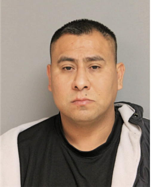 JORGE A BAHENA, Cook County, Illinois