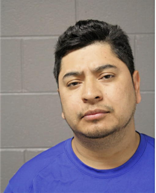 ALFONSO J BONILLA, Cook County, Illinois