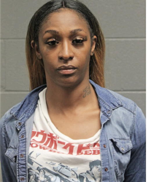 BRITTANY N DAY, Cook County, Illinois