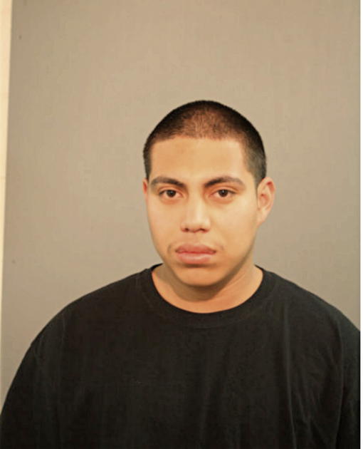 JOSE A DELACRUZ, Cook County, Illinois