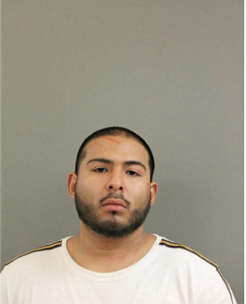 DARWIN DELAROSA, Cook County, Illinois