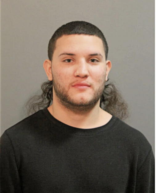 DANIEL J FLORES, Cook County, Illinois
