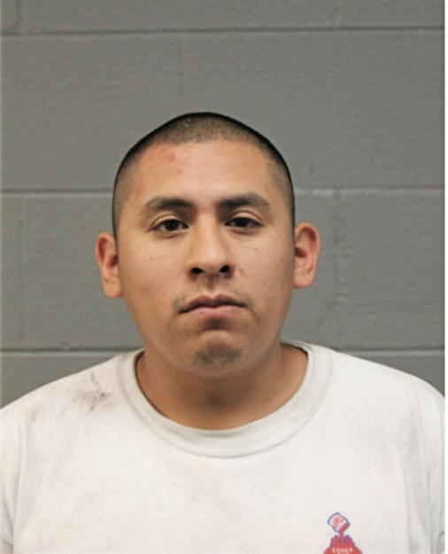 HECTOR GONZAGA, Cook County, Illinois