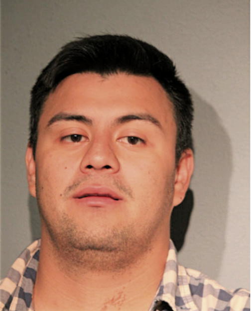 ARTURO E GUZMAN, Cook County, Illinois