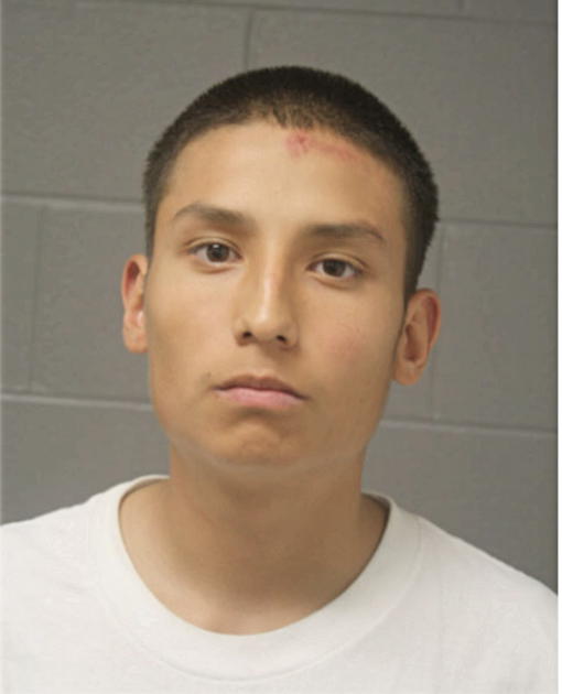 ISAAC HERNANDEZ, Cook County, Illinois