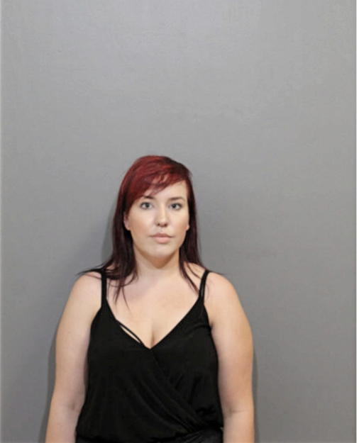 AMBER L HOLLER, Cook County, Illinois