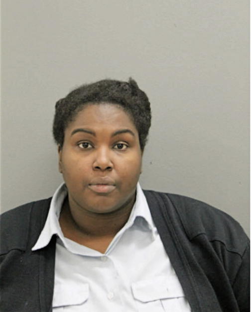 HYACINTH E JOHNSON, Cook County, Illinois