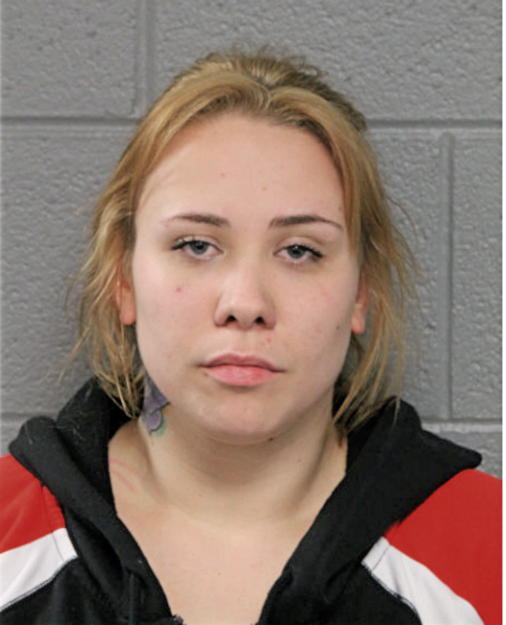 ELORA D KOZIL, Cook County, Illinois