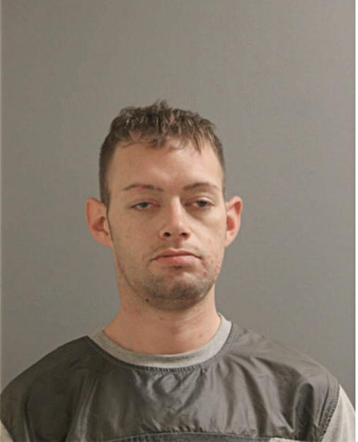 RYAN T MCNEELA, Cook County, Illinois