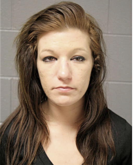 MICHELLE R MONIAN, Cook County, Illinois