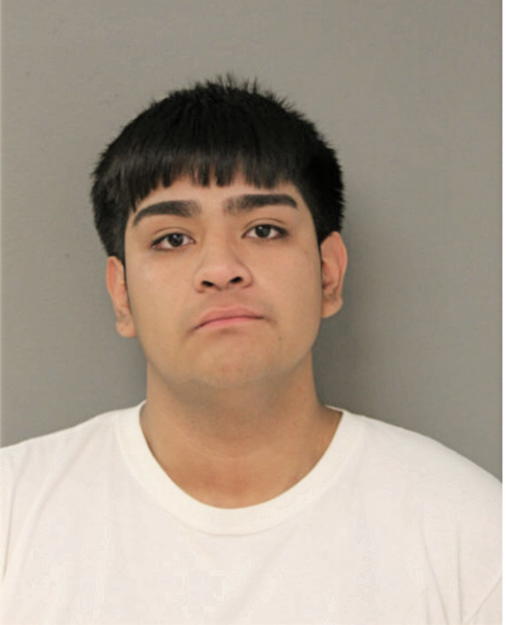 JOSE M PICHARDO, Cook County, Illinois