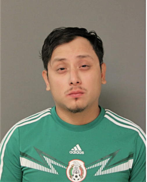 RUFINO PINEDA, Cook County, Illinois