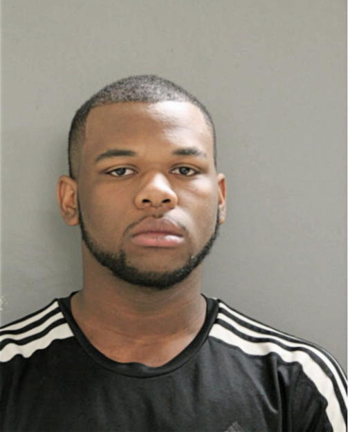 TERENCE D ROSS, Cook County, Illinois