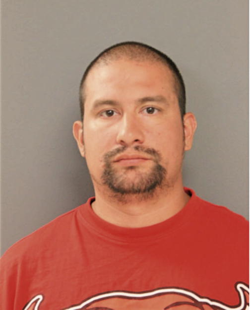 GUSTAVO SEPULVEDA, Cook County, Illinois