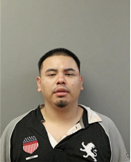 ISMAEL SOTELO, Cook County, Illinois