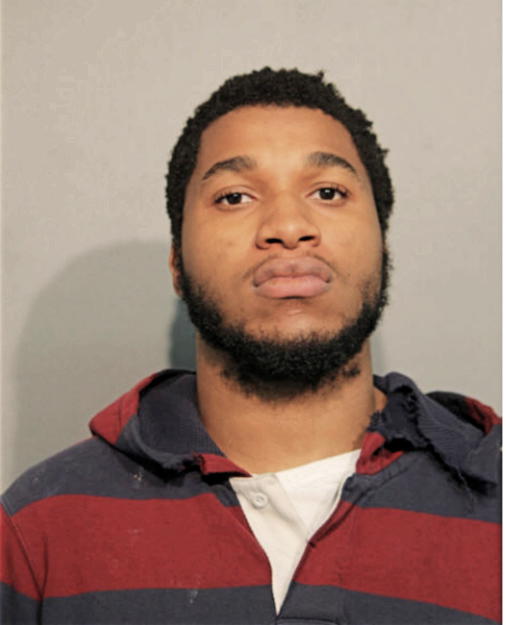 MICHAEL L STEELE, Cook County, Illinois