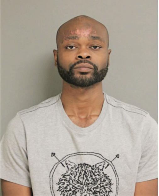 WYNTON P STEWART, Cook County, Illinois