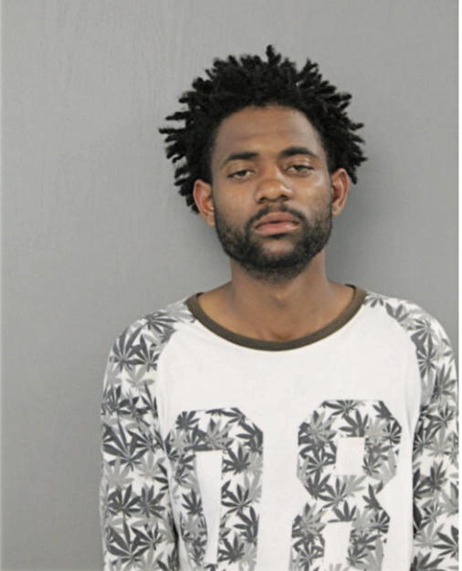 NAVARRO D VANDYKE, Cook County, Illinois