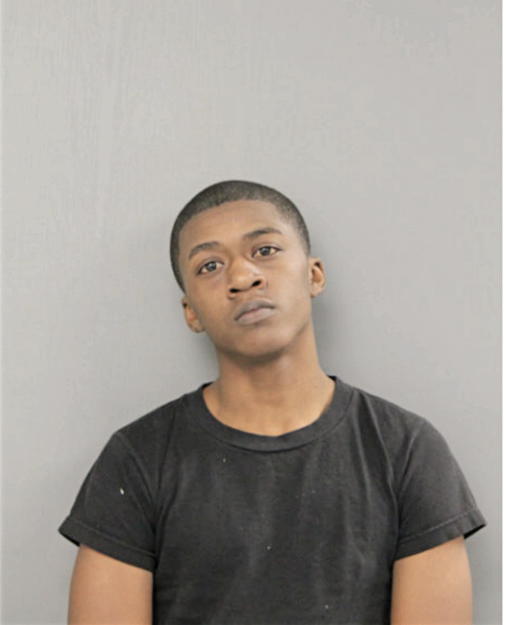 RYAN D WILLIAMS, Cook County, Illinois