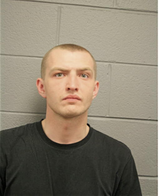SERGIY Y ZAYTSEV, Cook County, Illinois