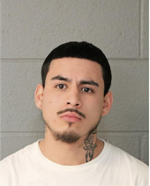 ANGEL ALVARADO, Cook County, Illinois