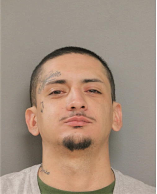 DAVID ANDREW ARAUJO, Cook County, Illinois