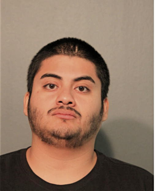 BRIAN ARENAS-SANCHEZ, Cook County, Illinois