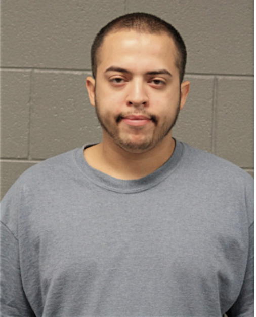 JOVAN A ARGUELLES, Cook County, Illinois