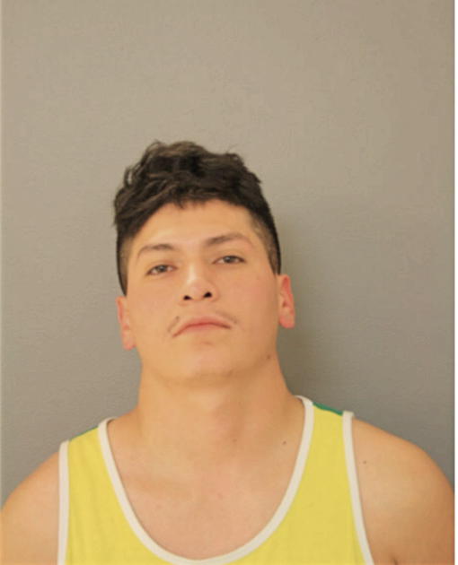 MARTIN CAMARENA, Cook County, Illinois