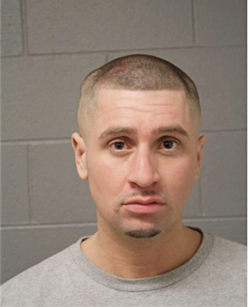 DAVID T CARROLL, Cook County, Illinois