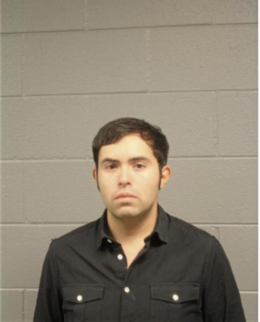 JOEL DIMAS, Cook County, Illinois