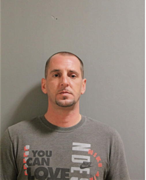 DAVID A ERCOLI, Cook County, Illinois