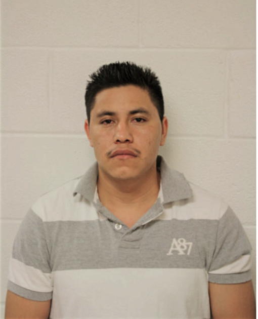 LUZ FELIX, Cook County, Illinois