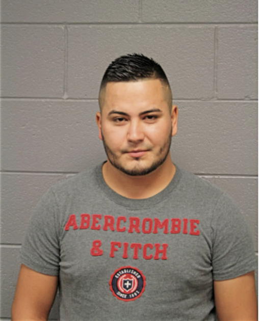 MARIO FLORES, Cook County, Illinois
