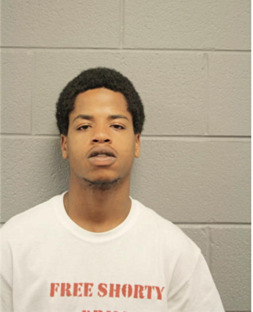 DAVID L FORD, Cook County, Illinois