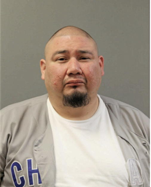 HUGO S LANDAVERRY, Cook County, Illinois