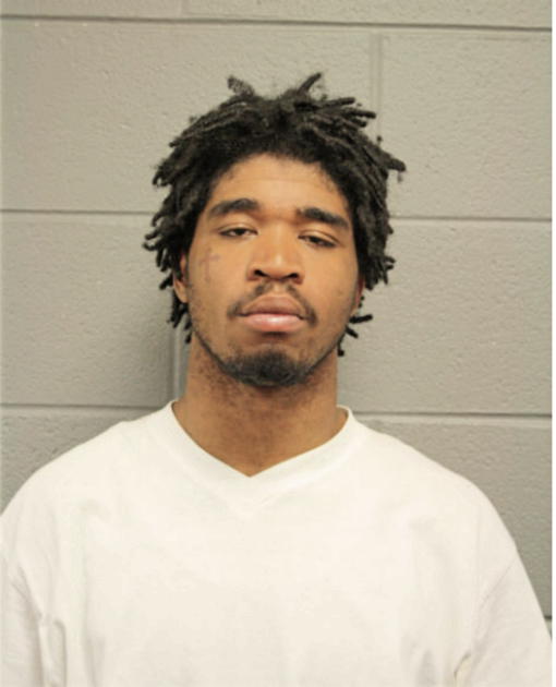 TYRON L LEE, Cook County, Illinois