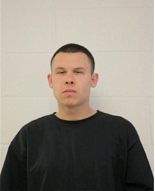 BRADLEY J LEONARD, Cook County, Illinois