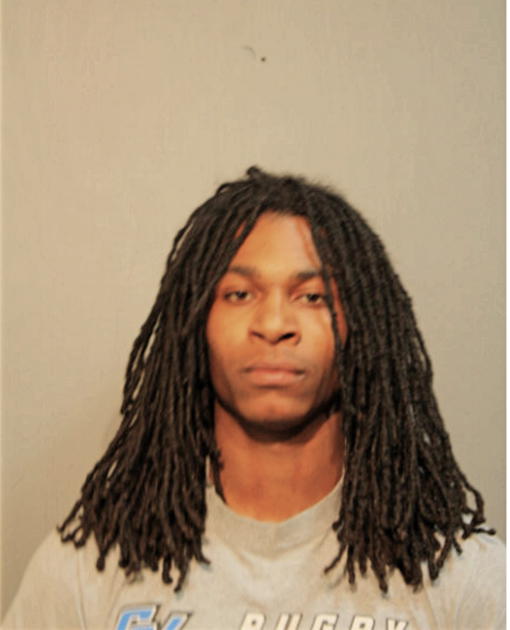 LANDON M LEWIS, Cook County, Illinois